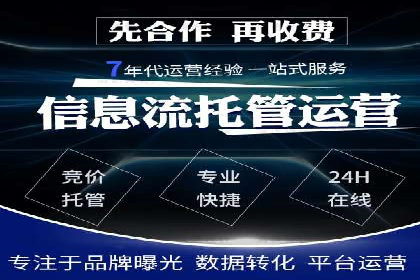 SEM推广策略：成功案例解析